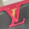 Louis Vuitton Capucines Hand Bag