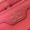 Louis Vuitton Capucines Hand Bag