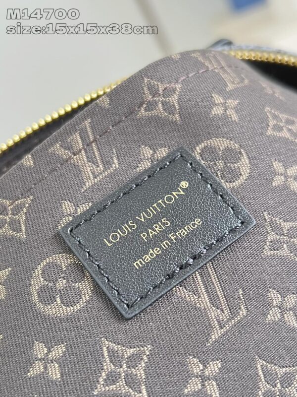 Louis Vuitton	LV Biker MM