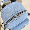 Louis Vuitton	Discovery Backpack PM