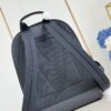 Louis Vuitton	Adrian Backpack