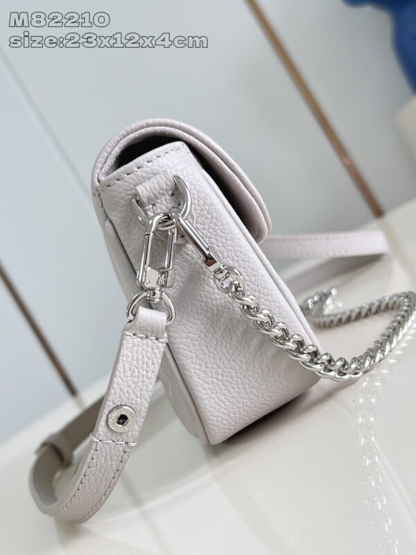 Louis Vuitton	Wallet on Chain Ivy