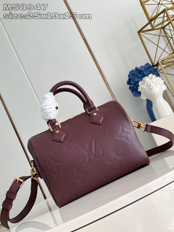 Louis Vuitton	Speedy 25