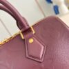 Louis Vuitton	Speedy 25