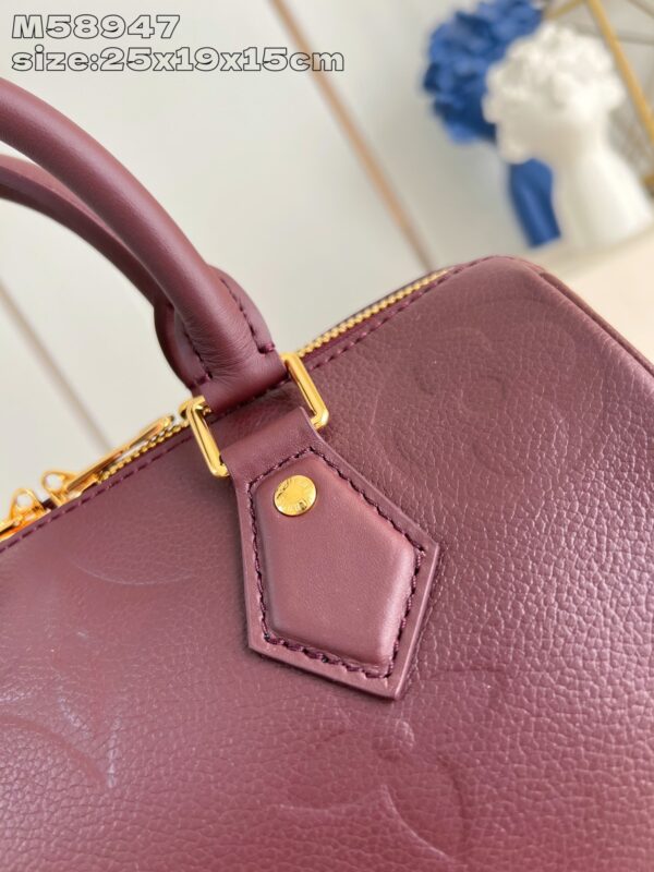 Louis Vuitton	Speedy 25