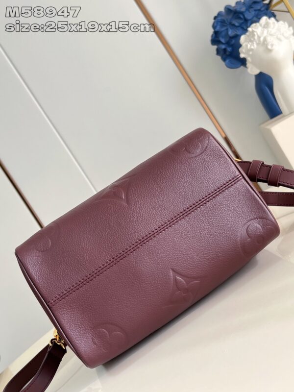Louis Vuitton	Speedy 25