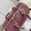 Louis Vuitton	Speedy 25