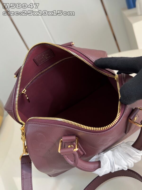 Louis Vuitton	Speedy 25