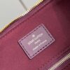 Louis Vuitton	Speedy 25