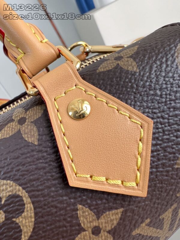 Louis Vuitton	Nano Speedy Dating