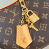 Louis Vuitton	Looping
