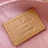 Louis Vuitton	Liv Pochette