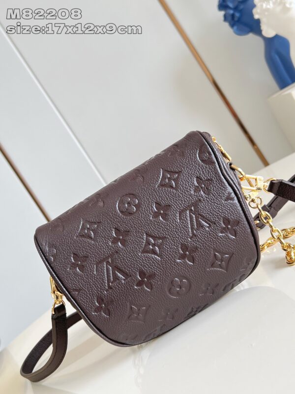 Louis Vuitton	Mini Bumbag
