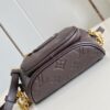 Louis Vuitton	Mini Bumbag