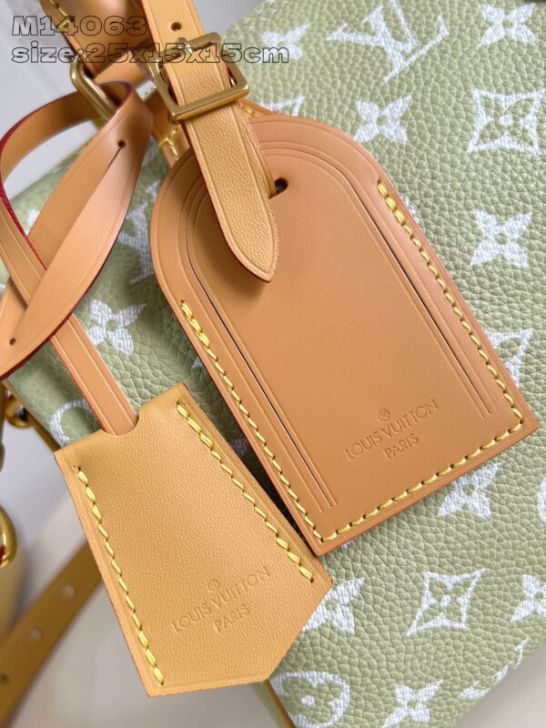 Louis Vuitton	Speedy P9 Bandoulière 25