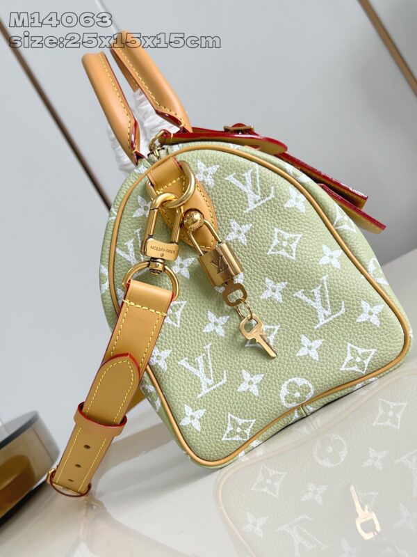 Louis Vuitton	Speedy P9 Bandoulière 25