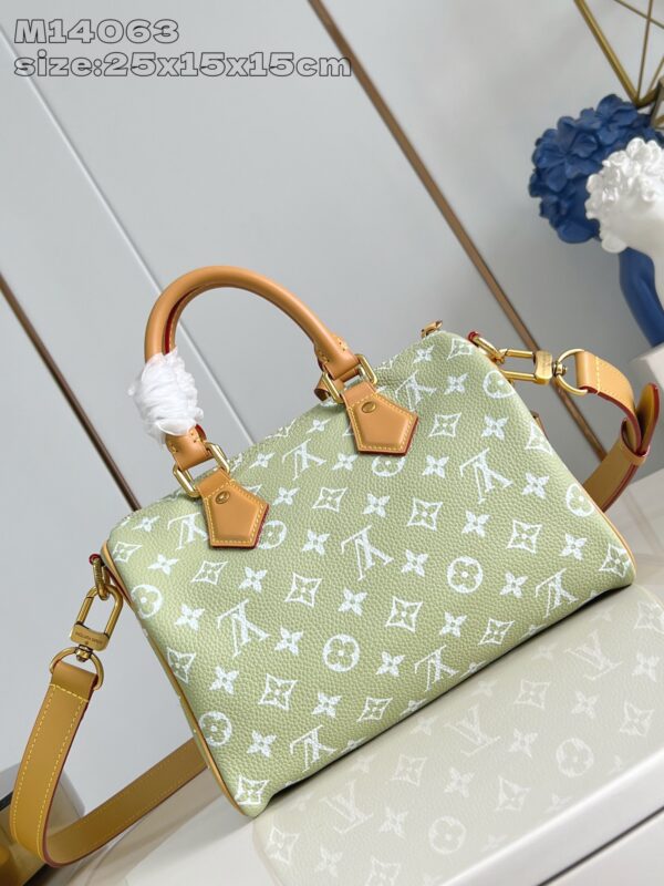 Louis Vuitton	Speedy P9 Bandoulière 25