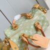 Louis Vuitton	Speedy P9 Bandoulière 25