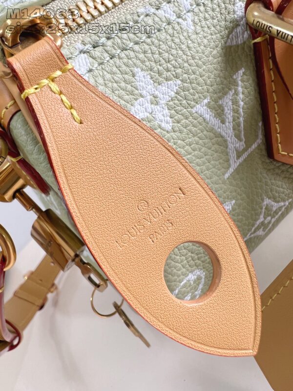 Louis Vuitton	Speedy P9 Bandoulière 25