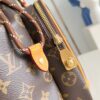 Louis Vuitton	Montsouris Cargo Backpack