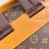 Louis Vuitton	Montsouris Cargo Backpack