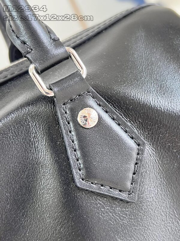 Louis Vuitton	Speedy Cargo Vibe