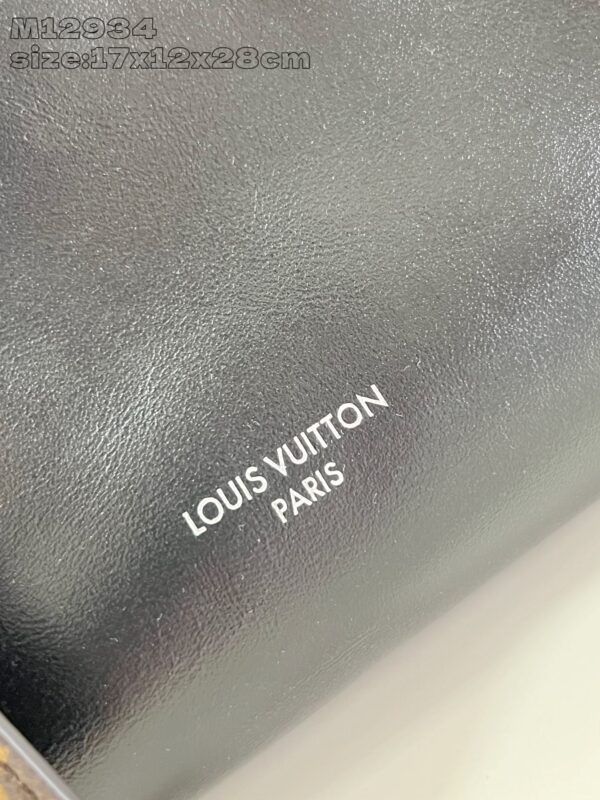 Louis Vuitton	Speedy Cargo Vibe
