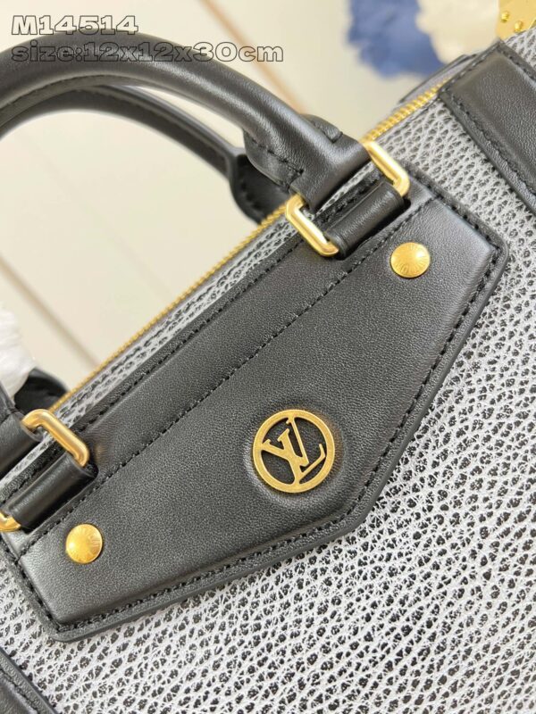 Louis Vuitton LV Biker PM