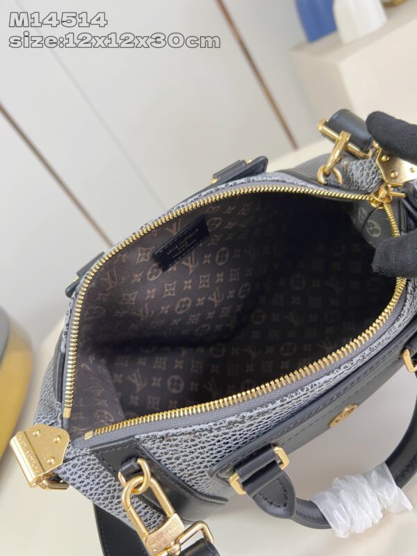 Louis Vuitton LV Biker PM