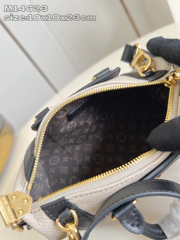 Louis Vuitton Nano LV Biker
