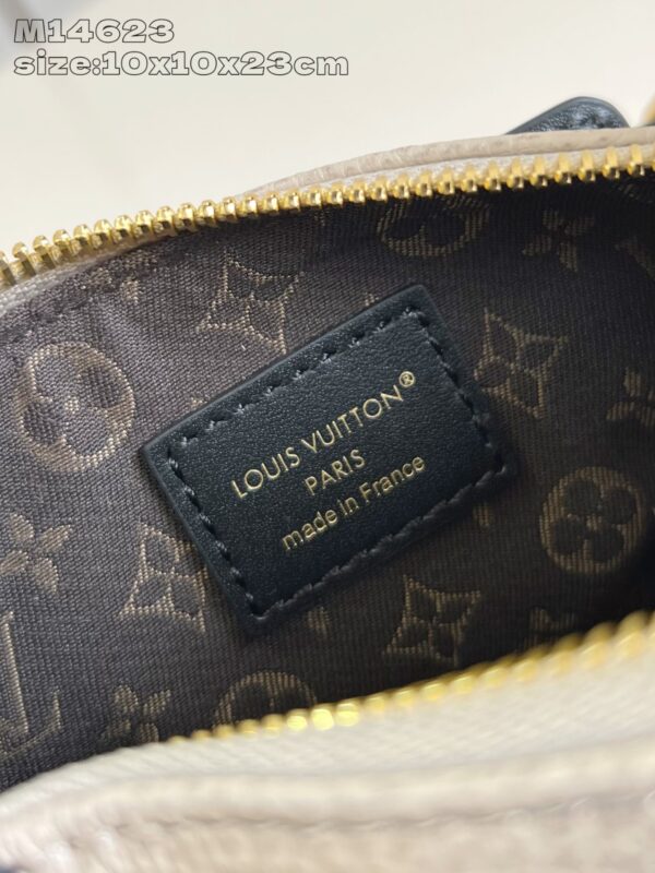 Louis Vuitton Nano LV Biker