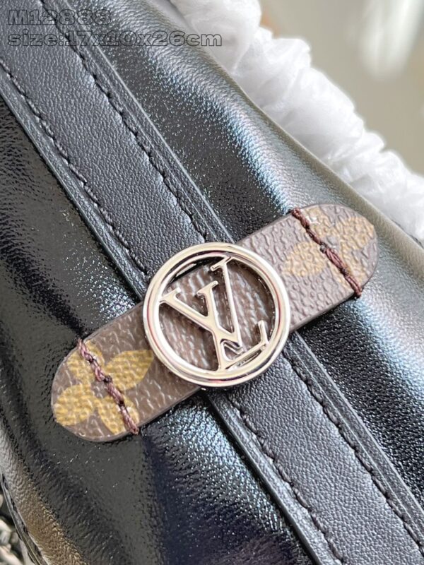 Louis Vuitton 	CarryAll Vibe BB