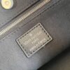 Louis Vuitton 	CarryAll Vibe BB