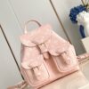 Louis Vuitton	Backup