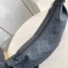 Louis Vuitton	Hobo Hamac Bag