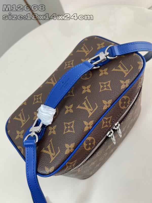 Louis Vuitton	Nice BB
