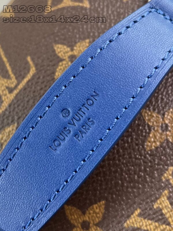 Louis Vuitton	Nice BB