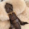 Louis Vuitton	Nano Teddy Backpack