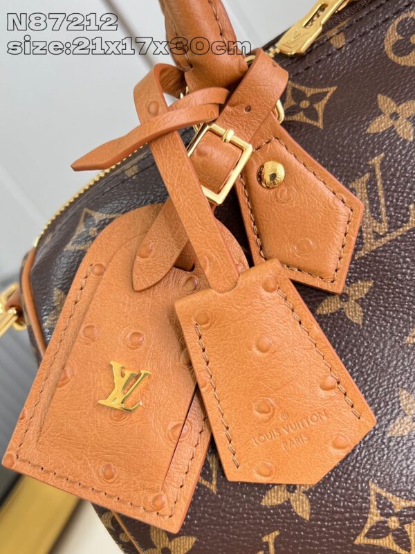 Louis Vuitton	Speedy Soft 30 Boho