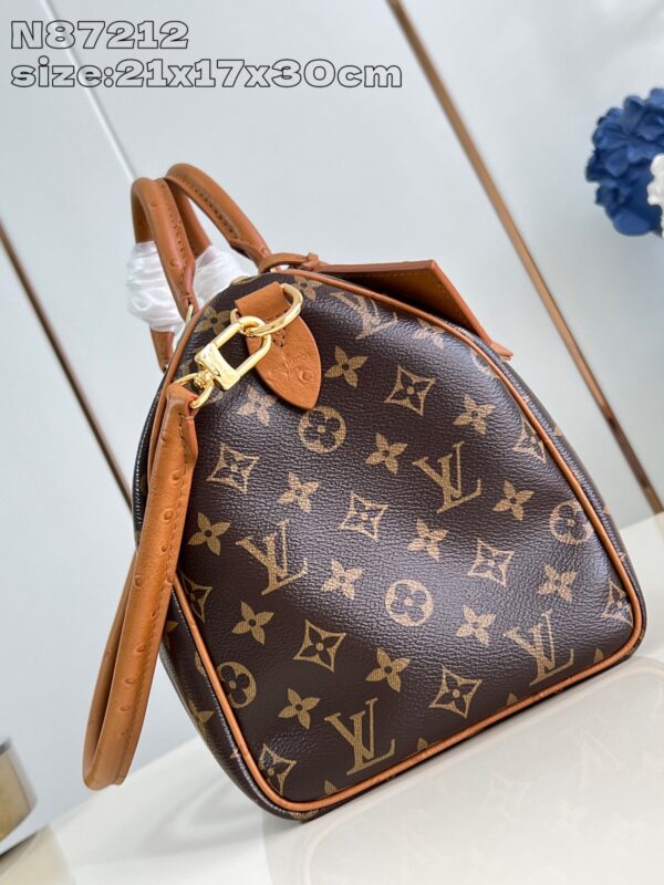 Louis Vuitton	Speedy Soft 30 Boho