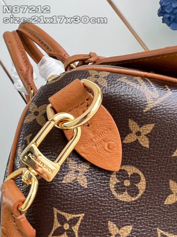 Louis Vuitton	Speedy Soft 30 Boho