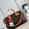 Louis Vuitton	Speedy Soft 30 Crafty