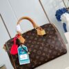 Louis Vuitton	Speedy Soft 30 Crafty