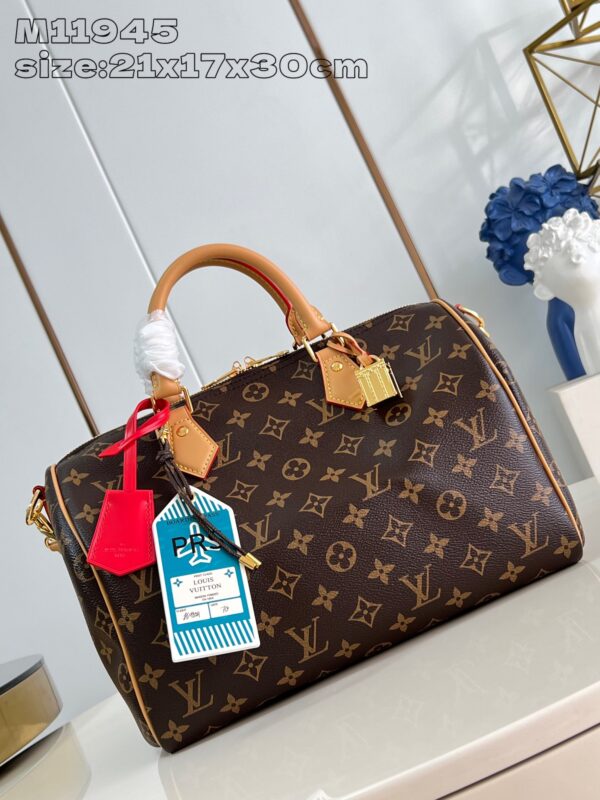Louis Vuitton	Speedy Soft 30 Crafty