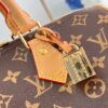 Louis Vuitton	Speedy Soft 30 Crafty
