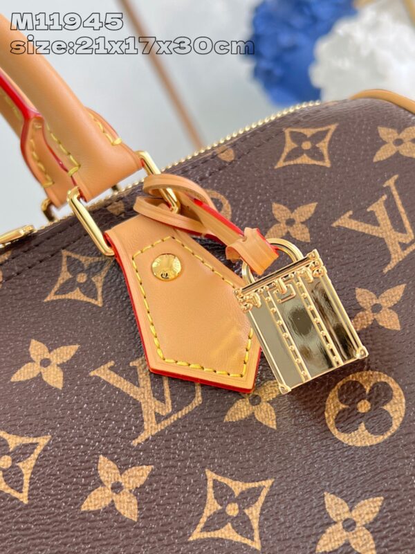 Louis Vuitton	Speedy Soft 30 Crafty