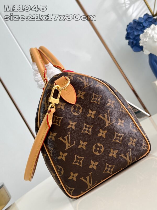 Louis Vuitton	Speedy Soft 30 Crafty