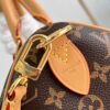 Louis Vuitton	Speedy Soft 30 Crafty