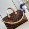 Louis Vuitton	Speedy Soft 30 Crafty