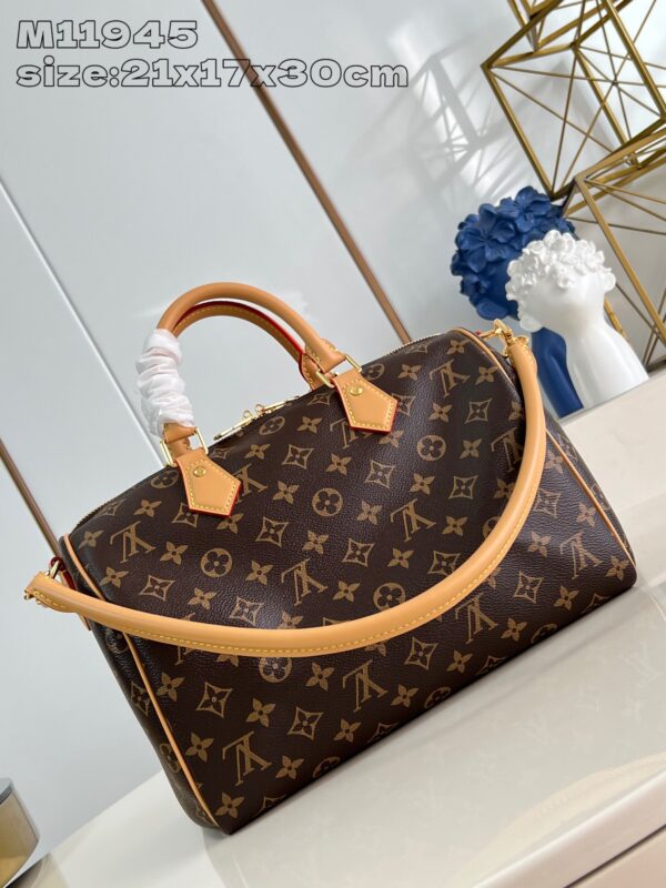 Louis Vuitton	Speedy Soft 30 Crafty